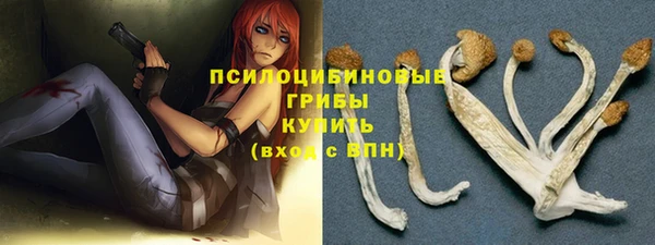 хмурый Гусиноозёрск