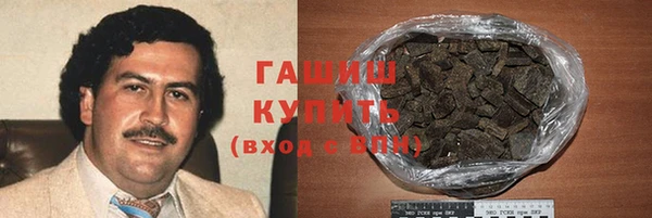 шишки Гусев