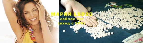 шишки Гусев