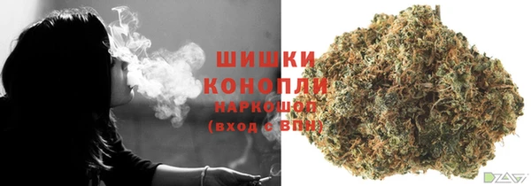 хмурый Гусиноозёрск