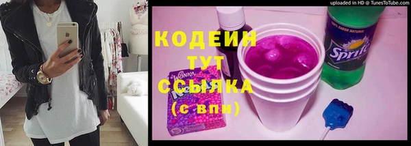 шишки Гусев