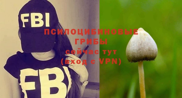 шишки Гусев