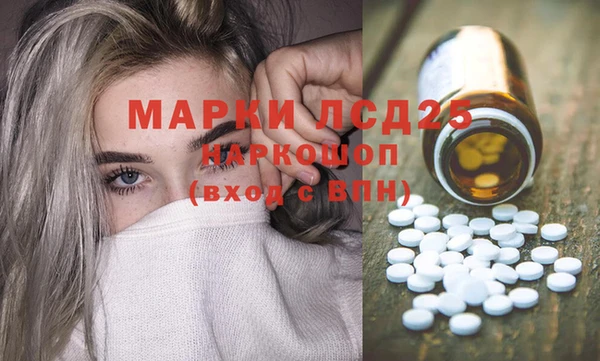 шишки Гусев