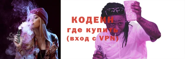 шишки Гусев