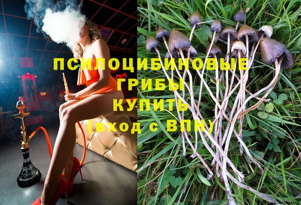 шишки Гусев