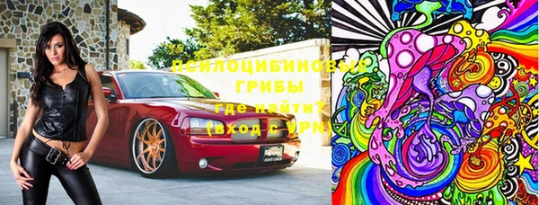 шишки Гусев